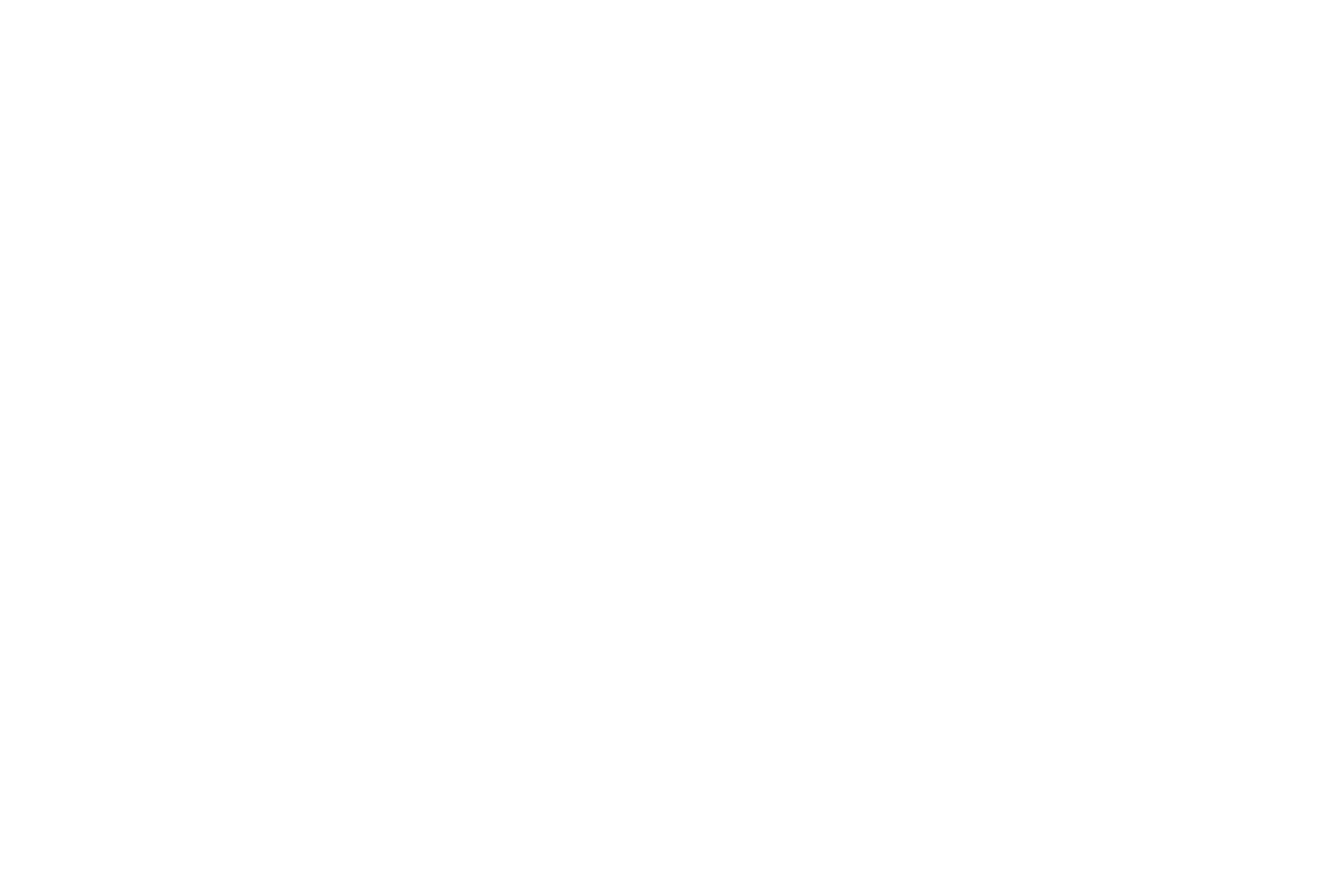 STICKER: SPIDERWEB