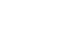 DECAL: SHARK