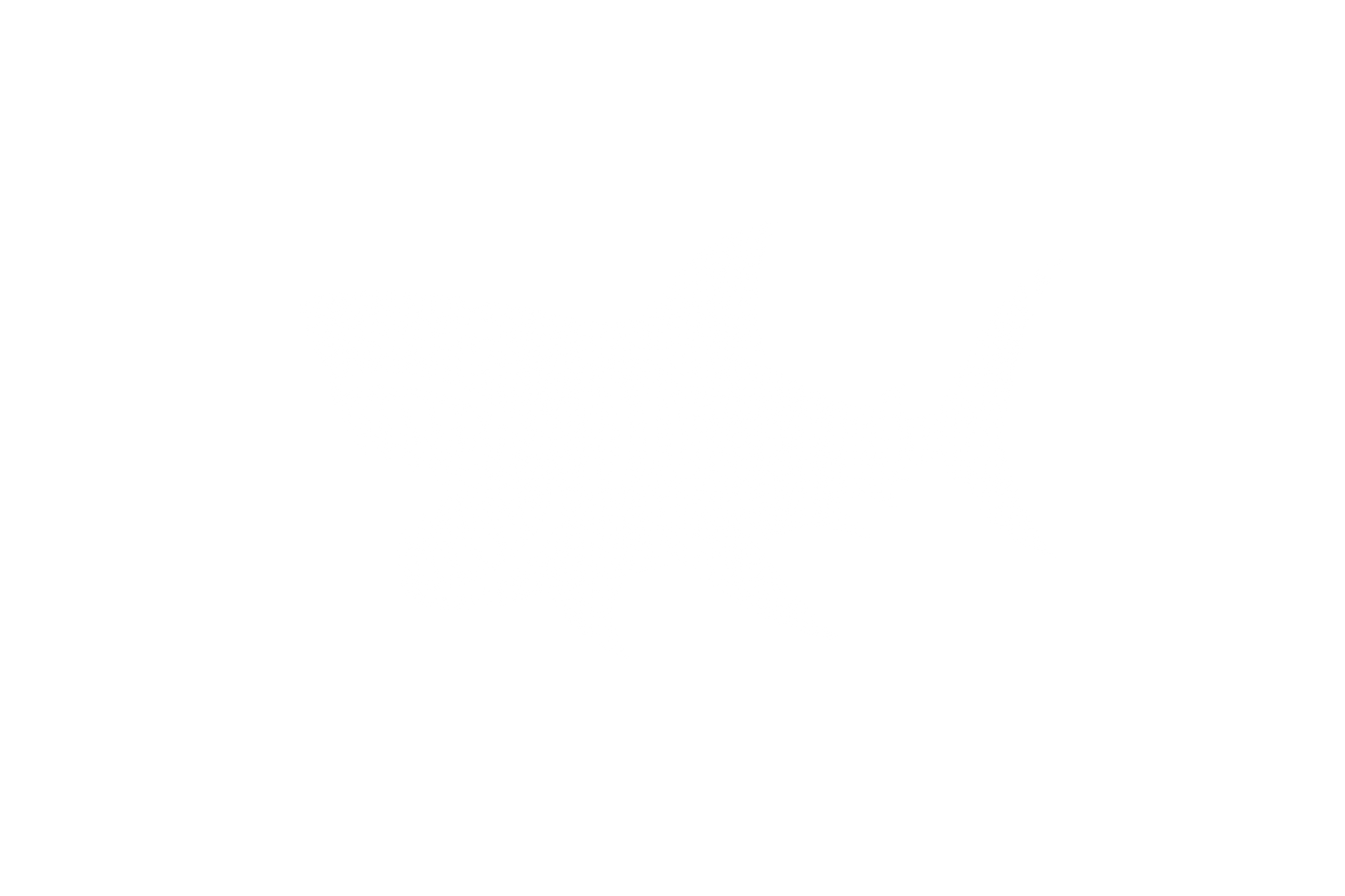 STICKER: SHARK