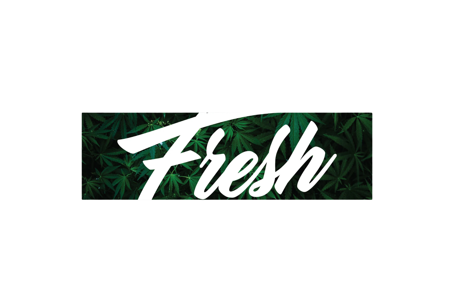 SLAP STICKER: FRESH