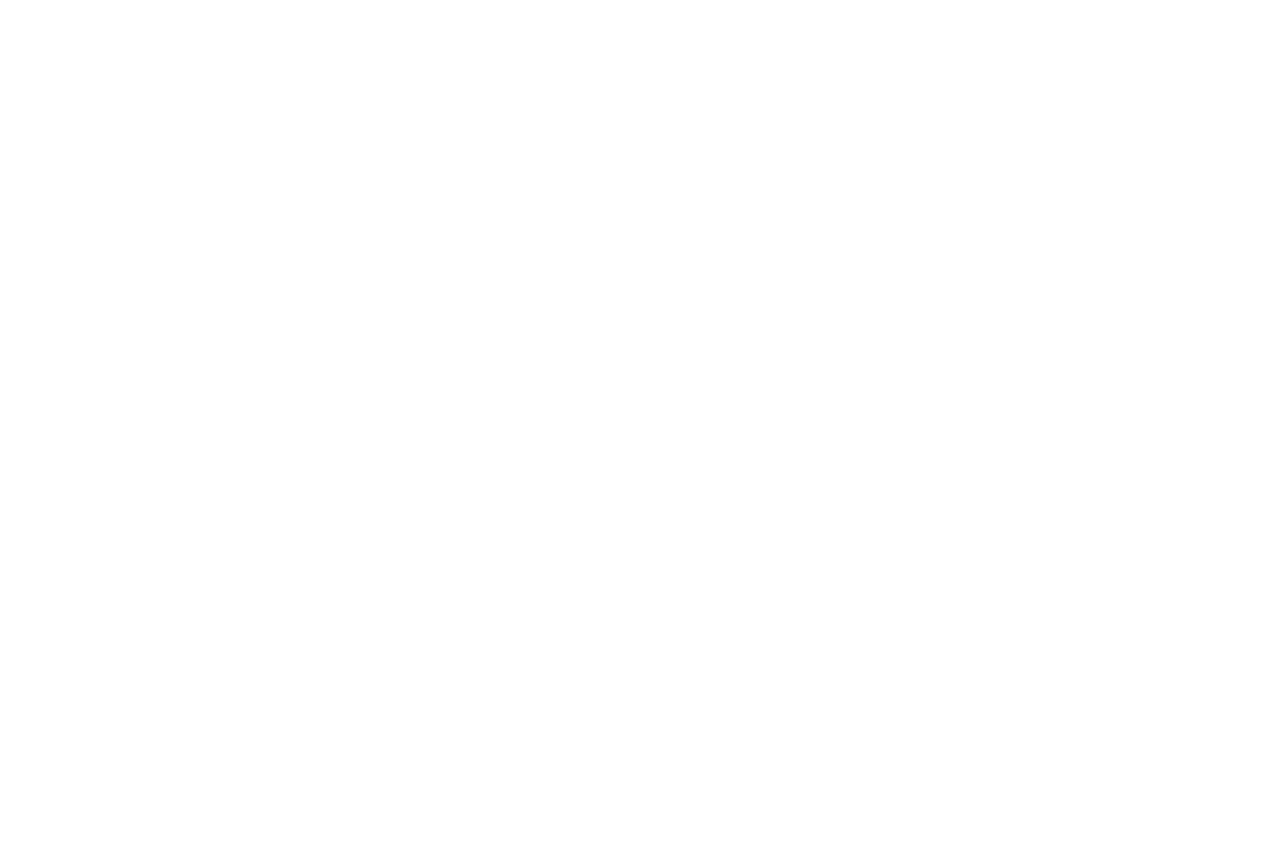 DECAL: F*CKS GIVEN