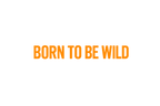 STICKER: BORN TO BE WILD