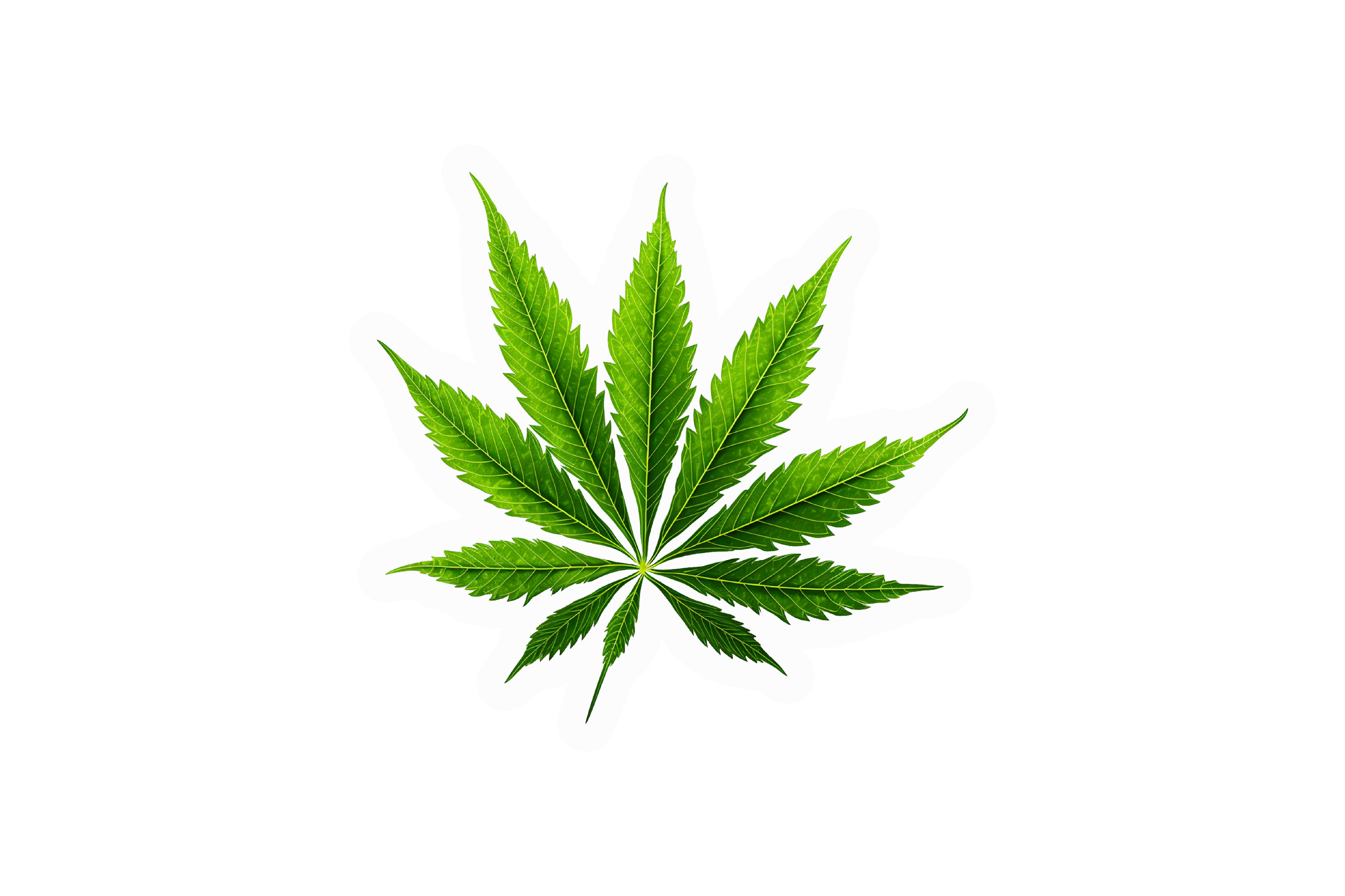 STICKER: LEAF - OzDecalz