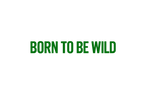 STICKER: BORN TO BE WILD
