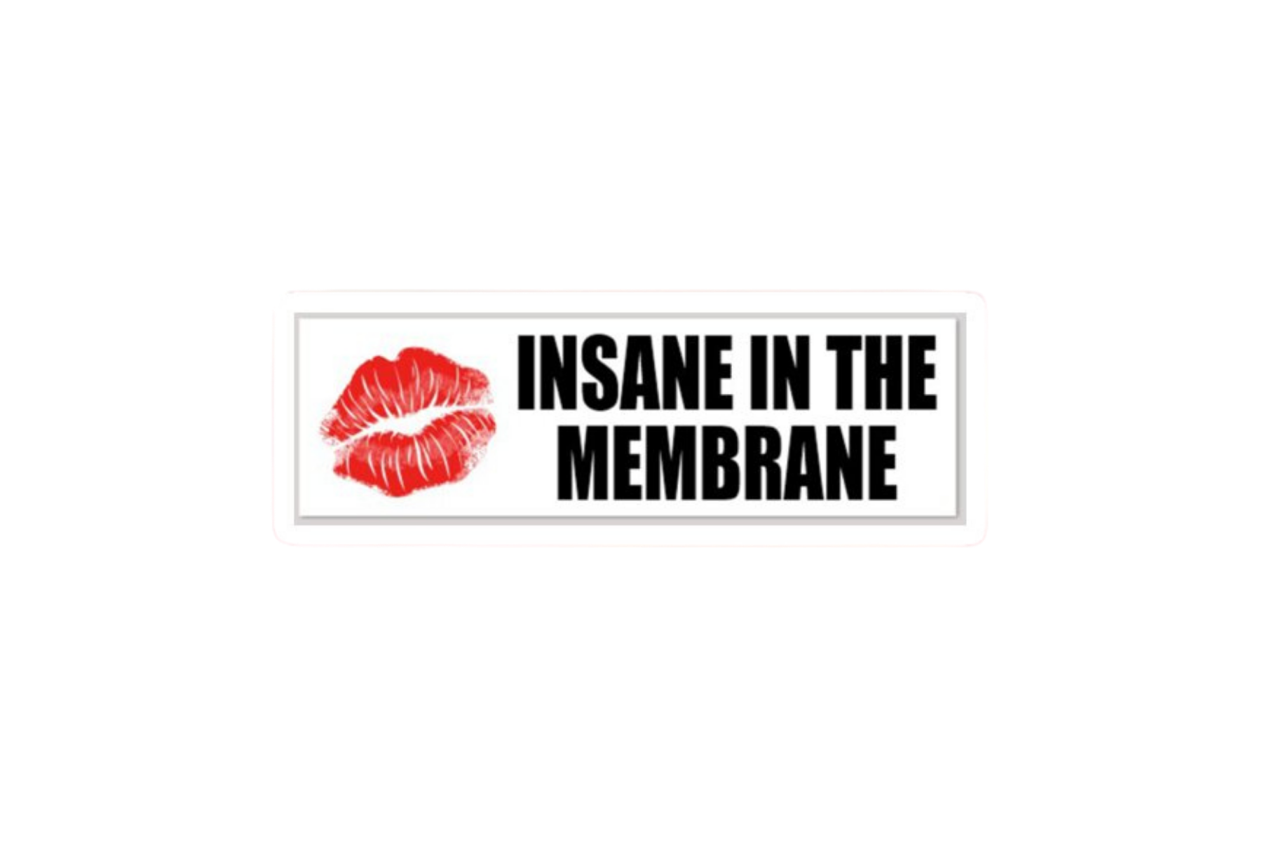 SLAP STICKER: INSANE IN THE