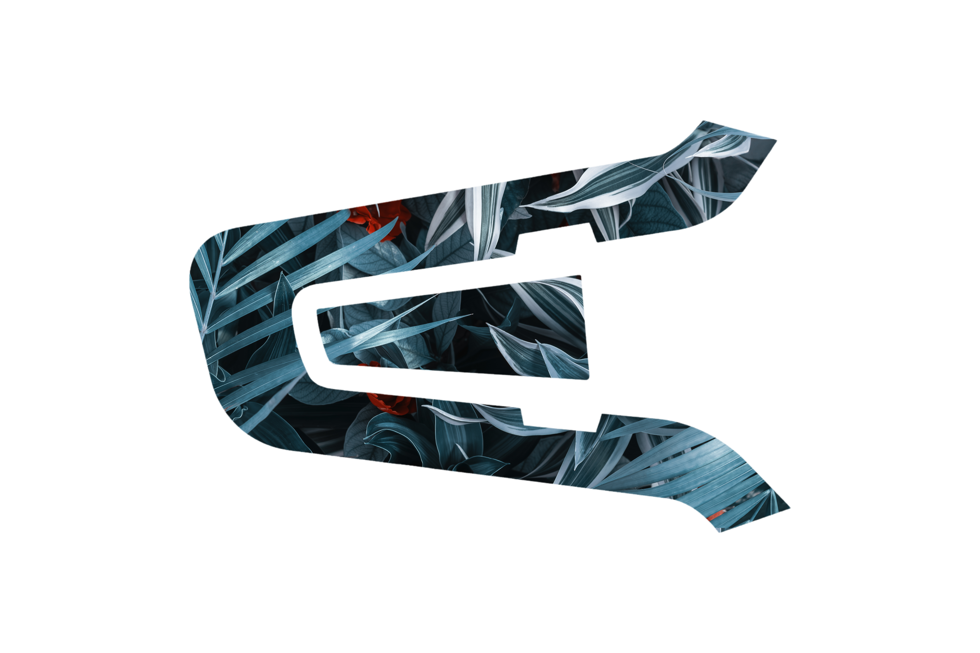 CARDO SKIN: BLUE/WHITE FLORAL