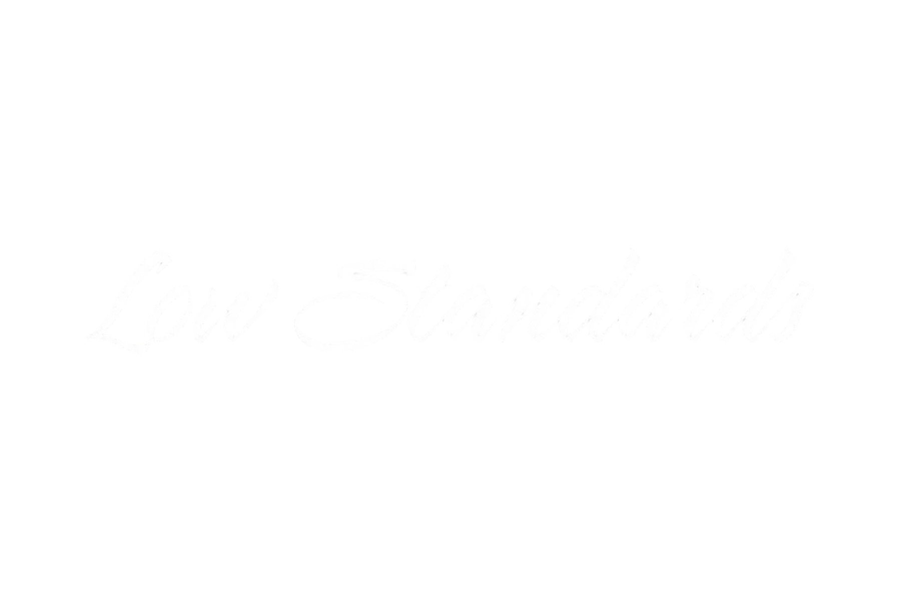 CAR WINDOW BANNER: LOW STANDARDS