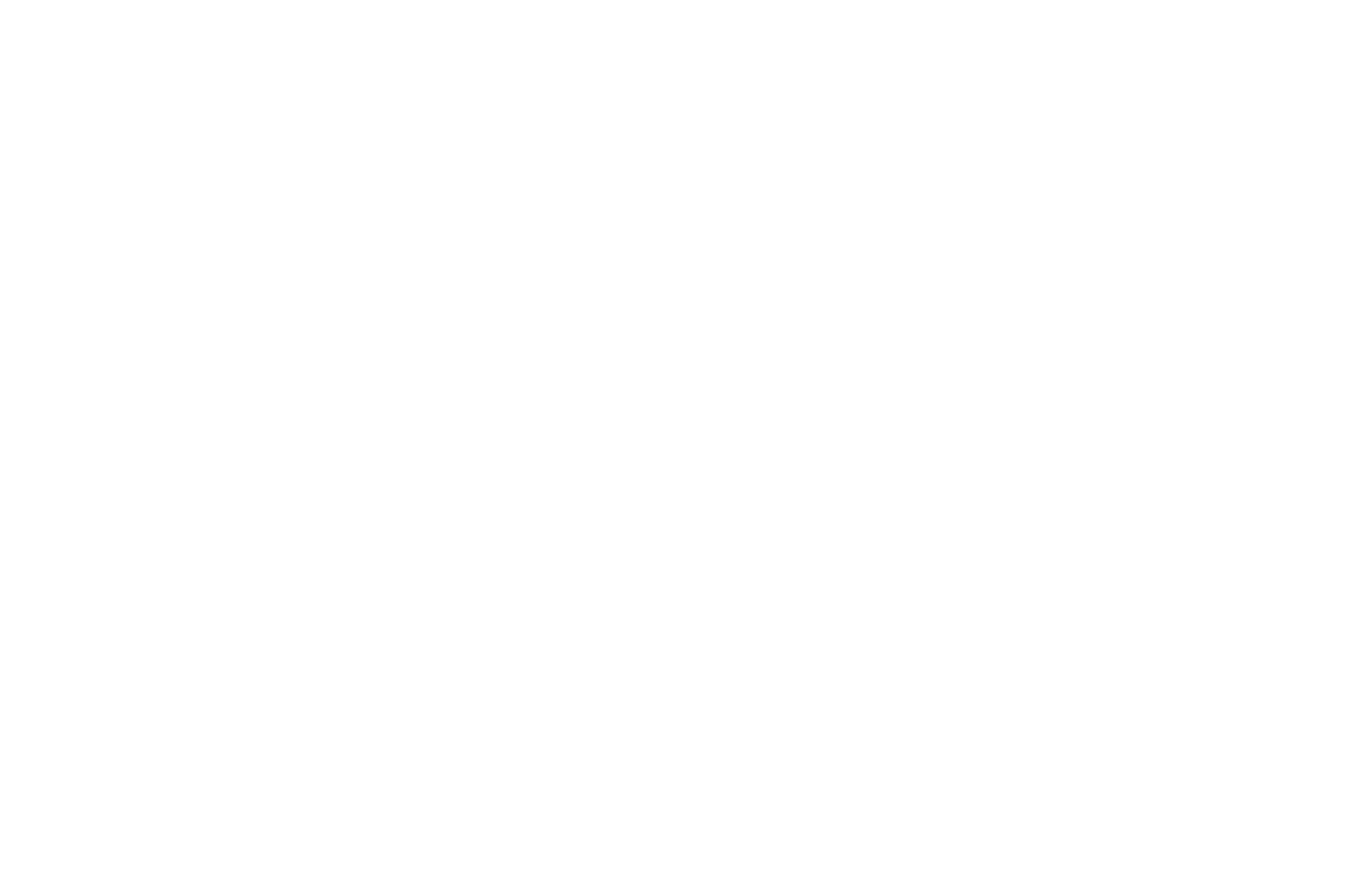 QUARTER WINDOW BANNER: SKULLS & ROSES