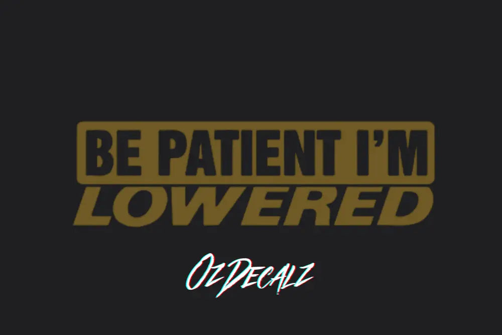 BE PATIENT IM LOWERED STICKER - OZDecalz