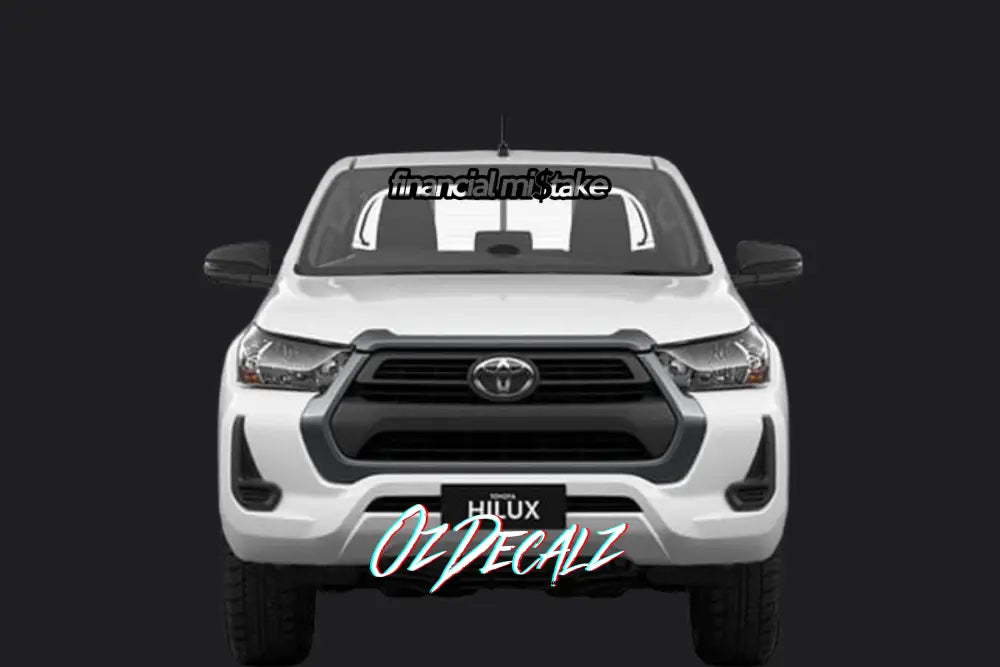 BANNER: FINANCIAL MISTAKE Vinyl Stickers