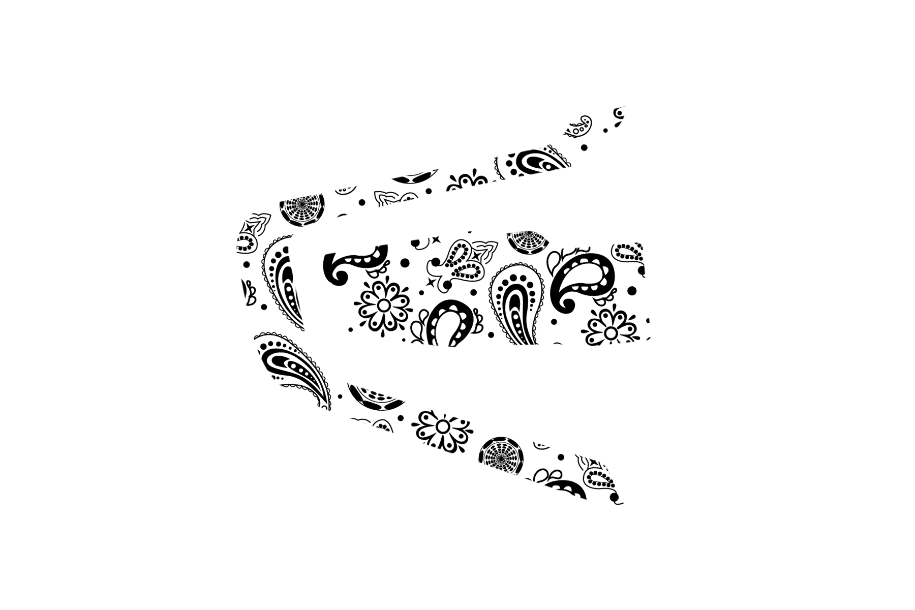 INTERCOM SKIN: PAISLEY WHITE