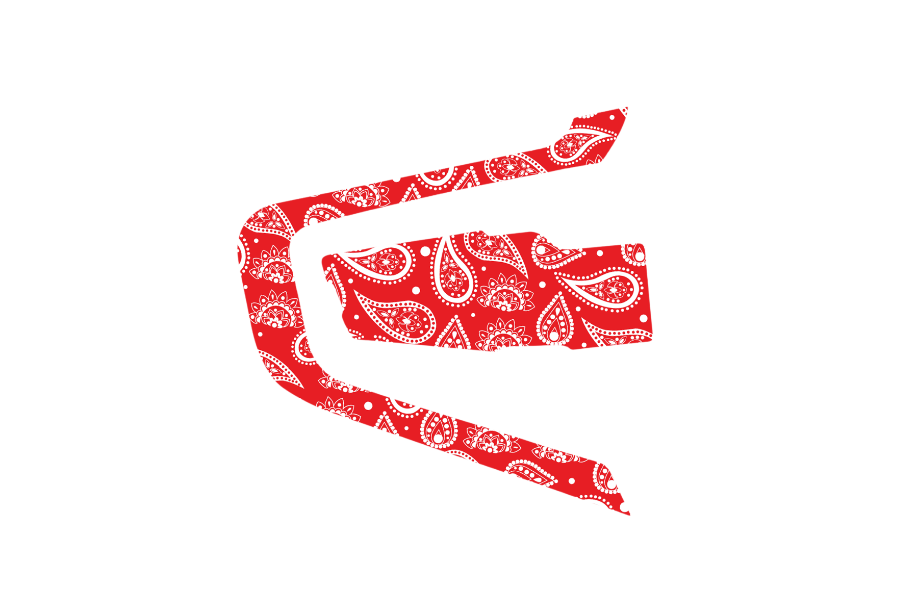 INTERCOM SKIN: PAISLEY RED