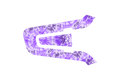 Packtalk  Skin: PURPLE HAZE