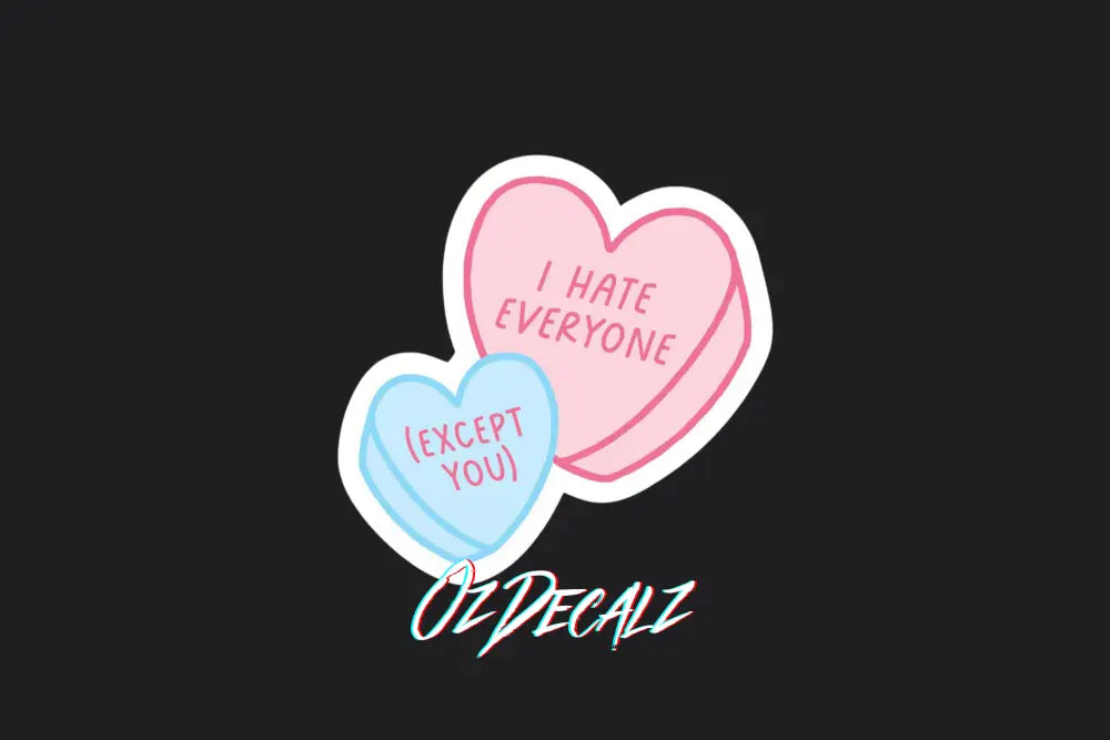 I HATE EVERYONE (EXCEPT YOU) STICKER - OZDecalz