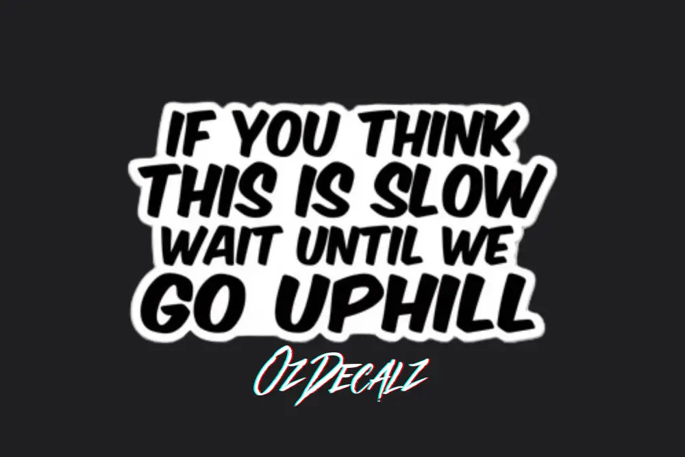 STICKER: IF YOU THINK THIS IS SLOW - OzDecalz