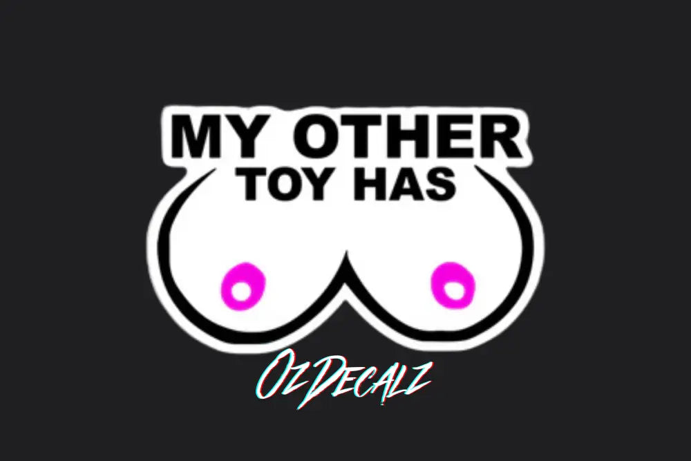 STICKER: MY OTHER TOY HAS - OzDecalz