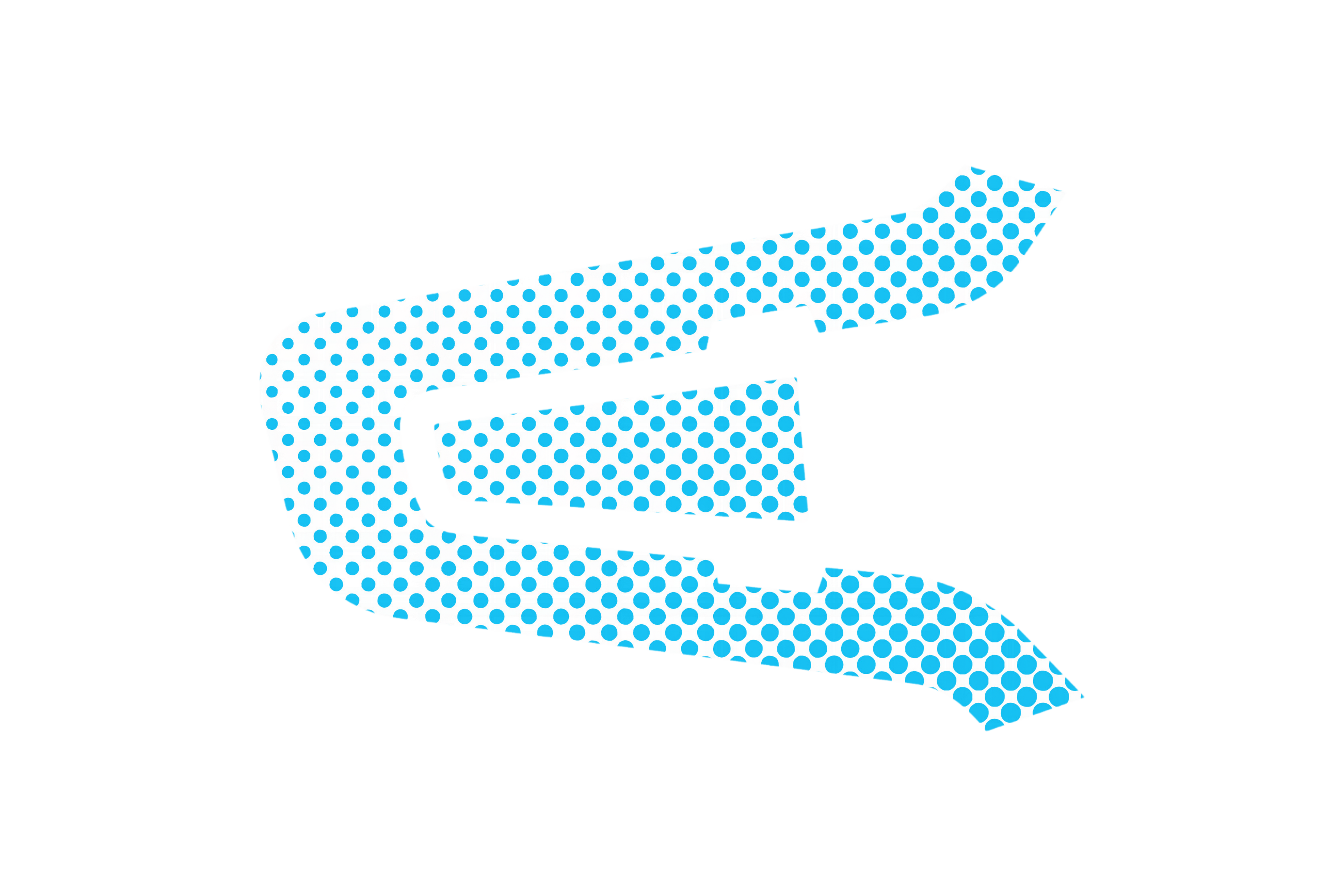 CARDO SKIN: RACE (WHITE/BLUE)