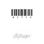 WALL ART: BI*CH - OzDecalz